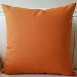 Sunbrella Acrylic Canvas Tuscan Indoor Outdoor Pillow Cover with Zipper